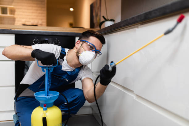 Best Ant Control Services  in Mack, OH