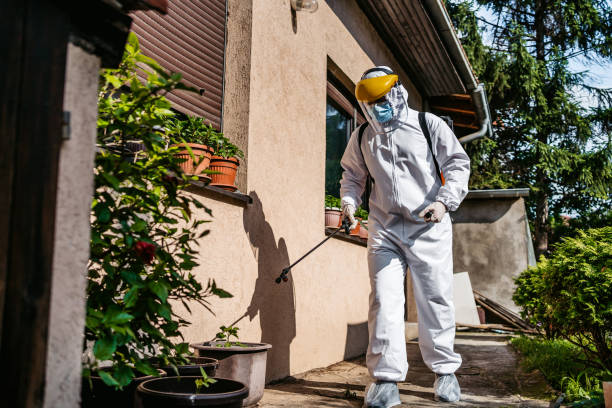 Best Emergency Pest Control  in Mack, OH