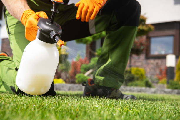 Best Pest Prevention Services  in Mack, OH