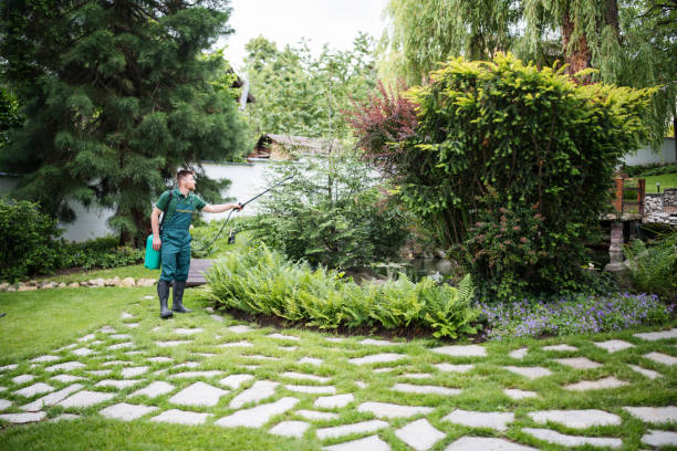Best Pest Inspection Near Me  in Mack, OH