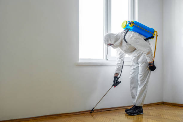 Professional Pest Control in Mack, OH