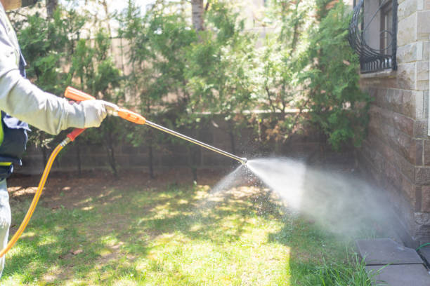 Best Flea Control Services  in Mack, OH