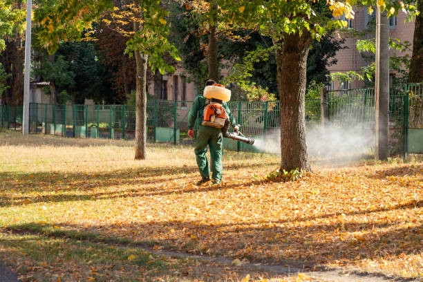 Best Residential Pest Control  in Mack, OH
