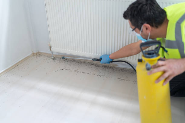 Best Commercial Pest Control Services  in Mack, OH